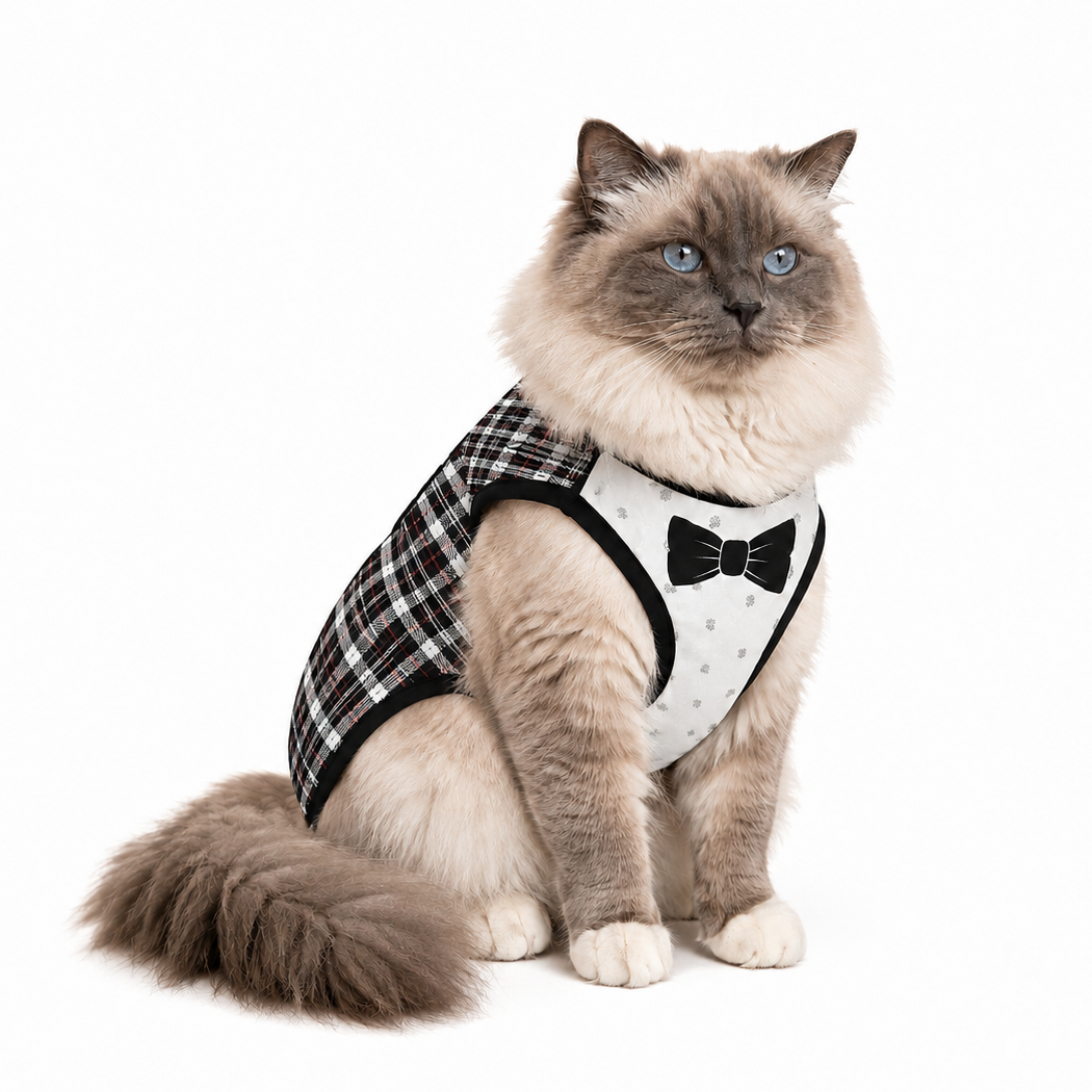 Vest Dapper (Heritage)